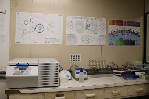 Visão da sala com equipamentos de bioquímica e biologia molecular para PCR e Western Blot
